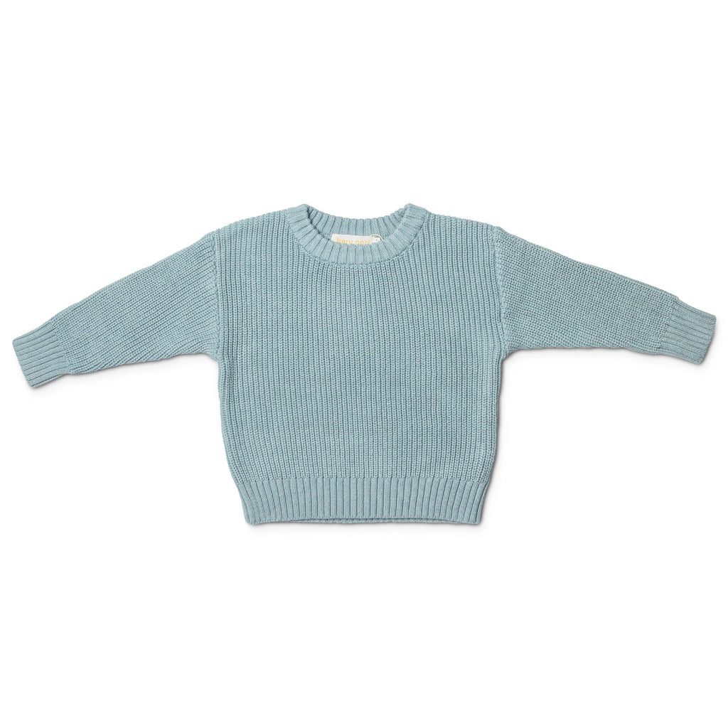 Cotton Knit Jumper - Blue